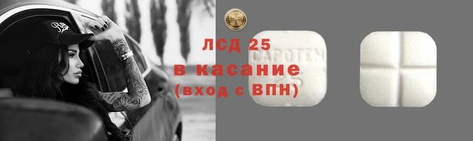 apvp Новодвинск
